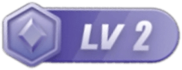 等级-LV2-weipuNetwork